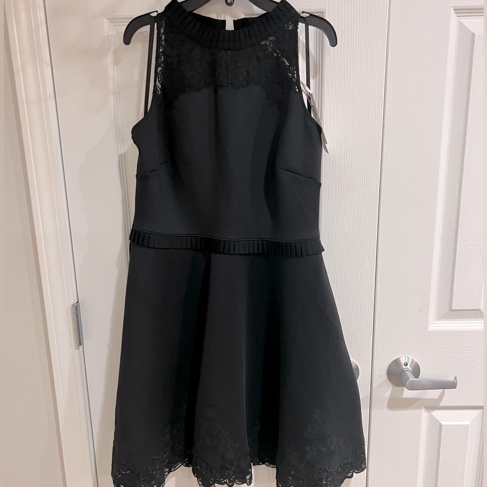 Amazing NWT Ted Baker dress. Gorgeous lace detail at neck and hem. Size 3